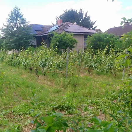 Einzelzimmer Mit Gartenblick בית אירוח *